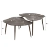 WoonStijl Salontafel set van 2 leaf Brown Ray Metal