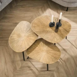 WoonStijl Salontafel set van 3 vierhoekig ray metal