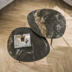 WoonStijl Salontafel set van 2 organisch fossil