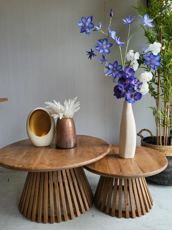WoonStijl Salontafel set van 2 tweak conisch massief mango
