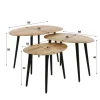 WoonStijl Salontafel set van 3 Acacia organisch
