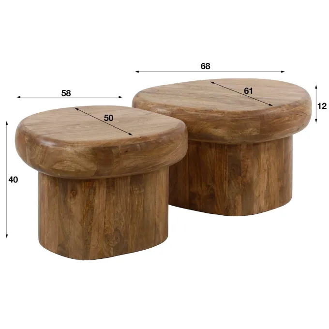 WoonStijl Salontafel Sleek mango set van 2