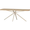 Woood Tablo Eettafel Deens Ovaal Verjongd 220x100 Cm Transparant [fsc]