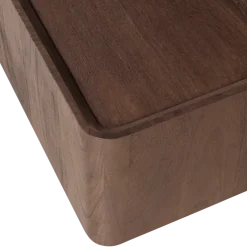 Woood Volu Salontafel Mangohout Bruin [FSC]